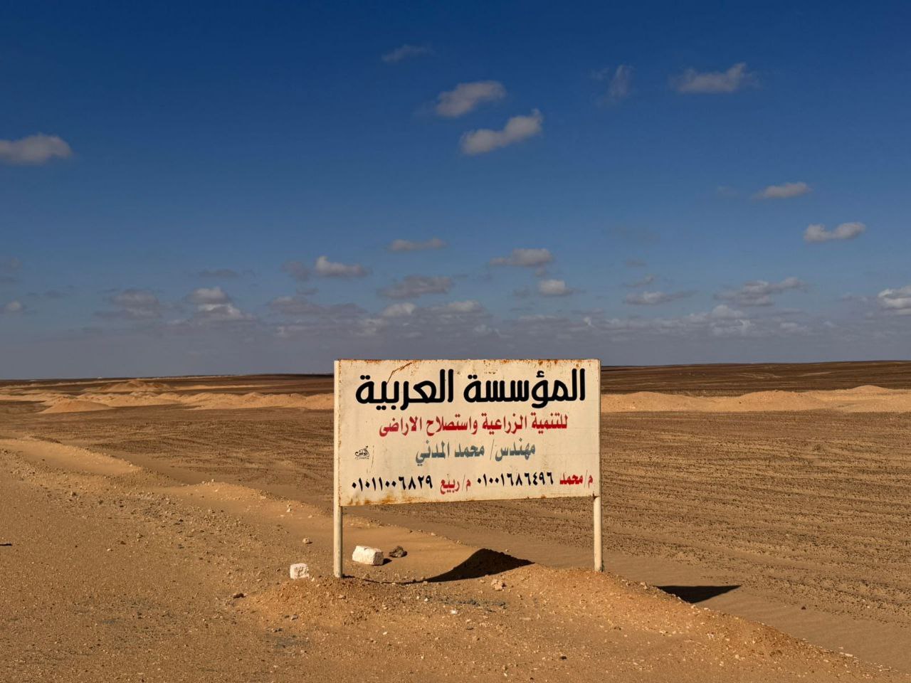 المؤسسة العربية للتنمية الزراعية