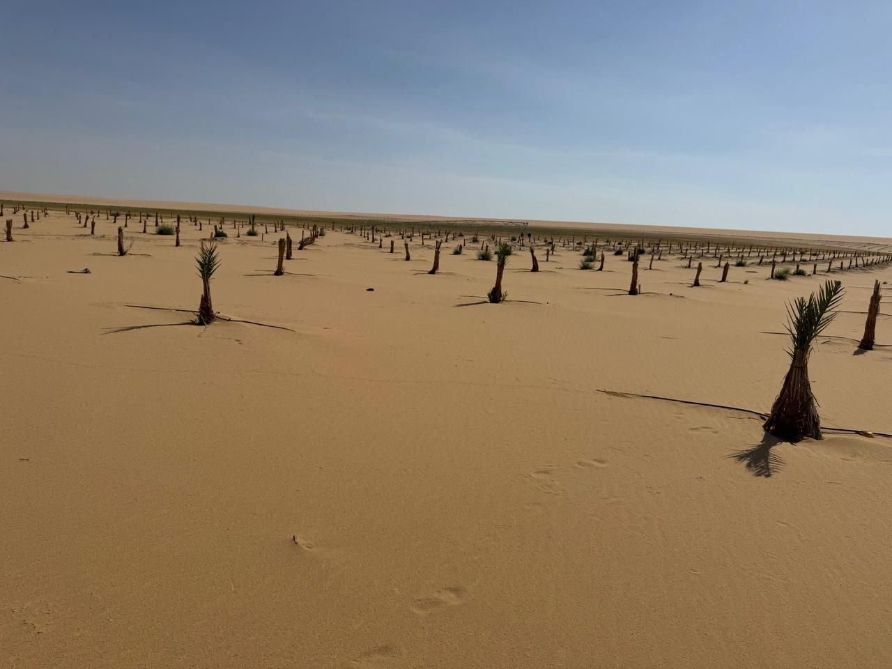 جمعية رسالة نور علي نور